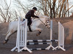 IMG-2195-037